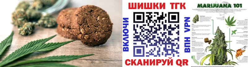 купить закладку  Сясьстрой  Cannafood конопля 