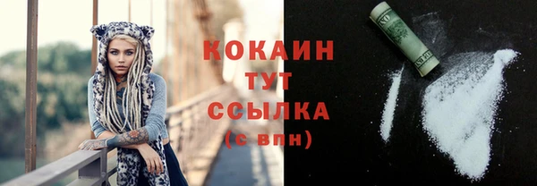 apvp Арсеньев